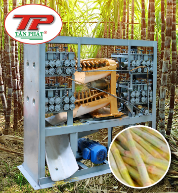 Máy Bào Mía Công Nghiệp Tấn Phát