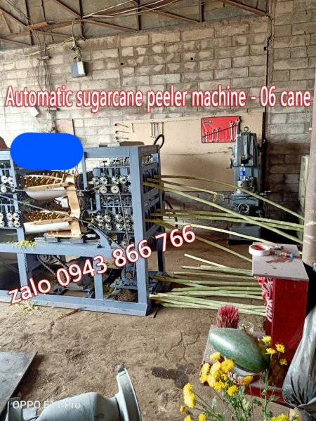 Máy bào vỏ mía tự động 6 cây siêu tốc