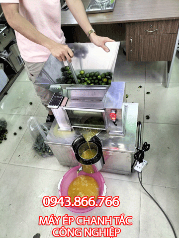 Báo giá máy ép chanh tắc (quất) của Tấn Phát mẫu mới công suất lớn