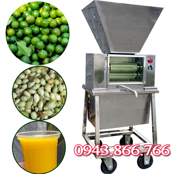 MẪU MỚI -MÁY ÉP CHANH TẮC (QUẤT) TỰ CUỐN CÔNG SUẤT 150KG/H