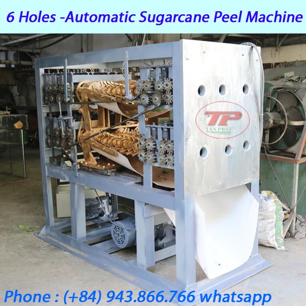6 HOLES-AUTOMATIC SUGARCANE PEELER MACHINE