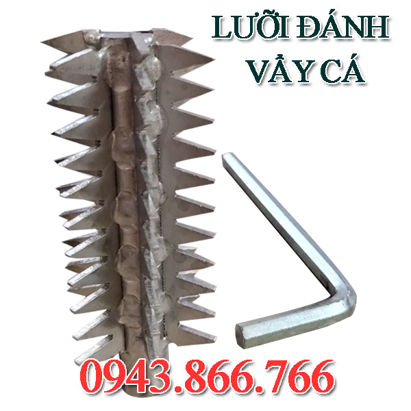 LƯỠI ĐÁNH VẨY CÁ