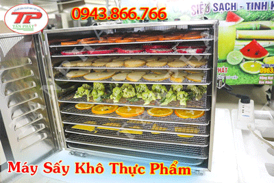 MÁY SẤY KHÔ THỬ PHẨM 10 KHAY SEPTREE